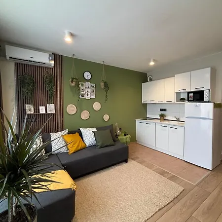 Orchid Noks Design *